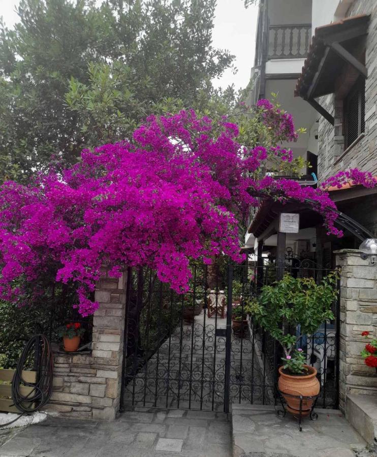 Papatzikos Traditional Guesthouse Νέος Μαρμαράς Εξωτερικό φωτογραφία